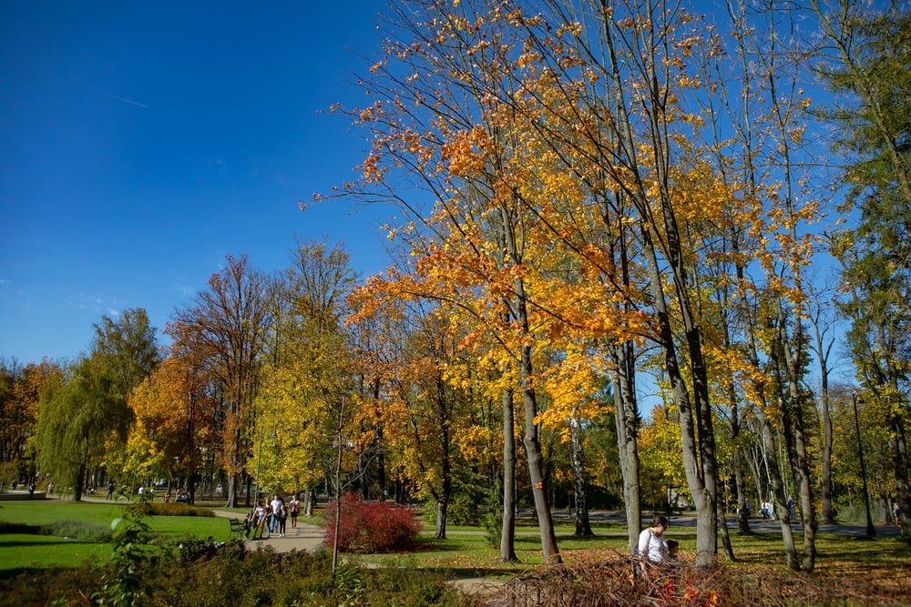 Bulwary nad Poniczanką Rabka Zdrój