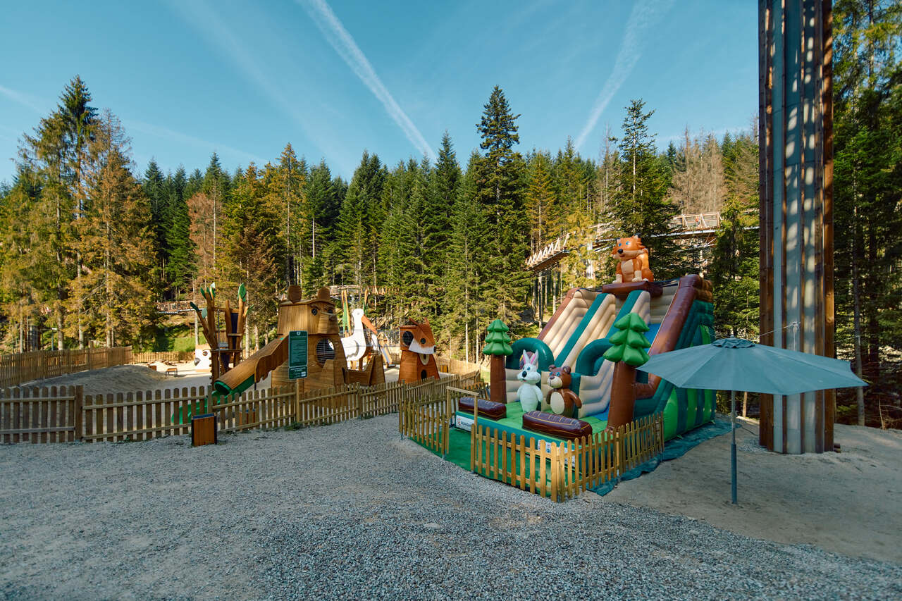 Park Linowy