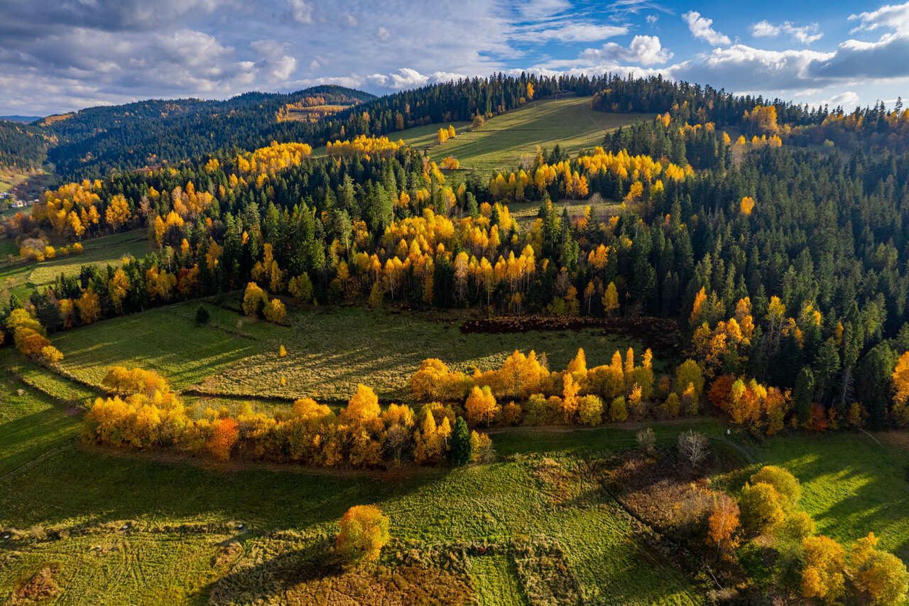 Maciejowa Rabka Zdrój