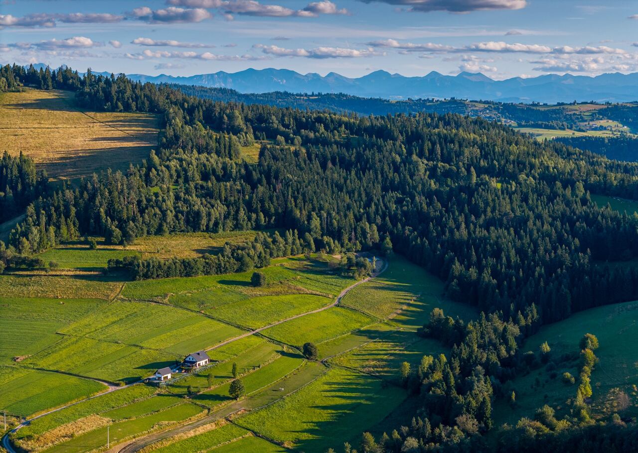 Maciejowe Wzgórze widok na Tatry