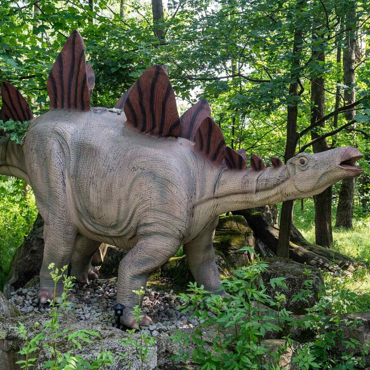 Zatorlandia